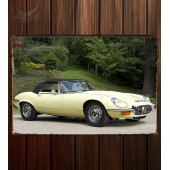 Металлическая табличка Jaguar E-Type V12 Open Two Seater (Series III) 343
